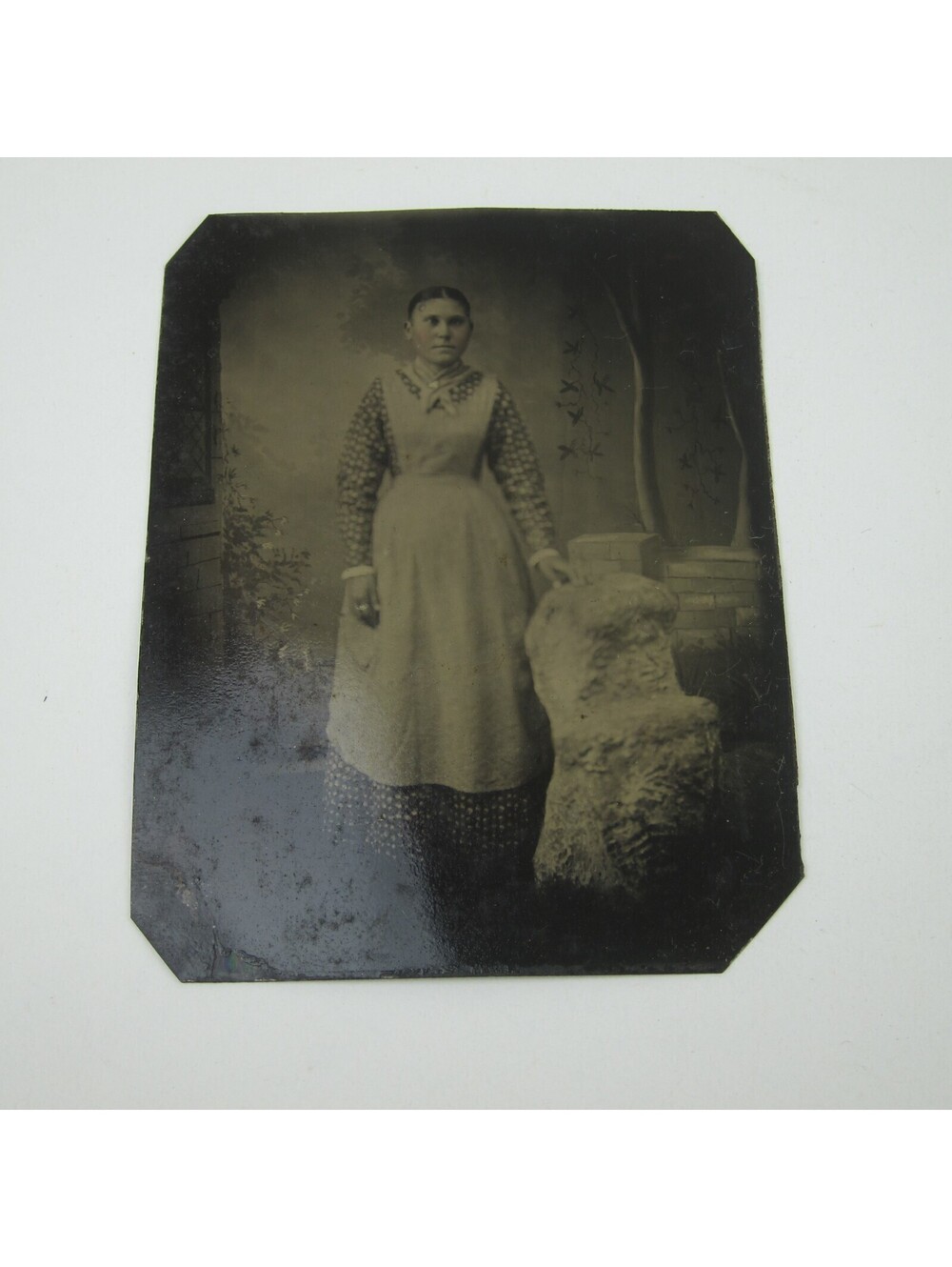 Tintype Photo Young Woman Tinted Cheeks Apron Stands at Rock Trees Antique 1800s